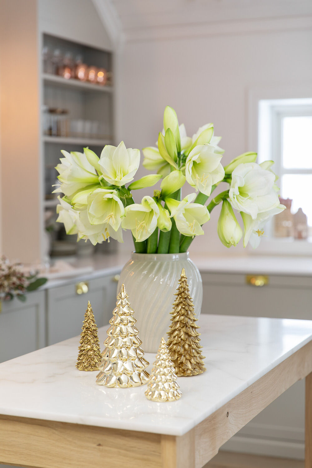 amaryllis i flere farger